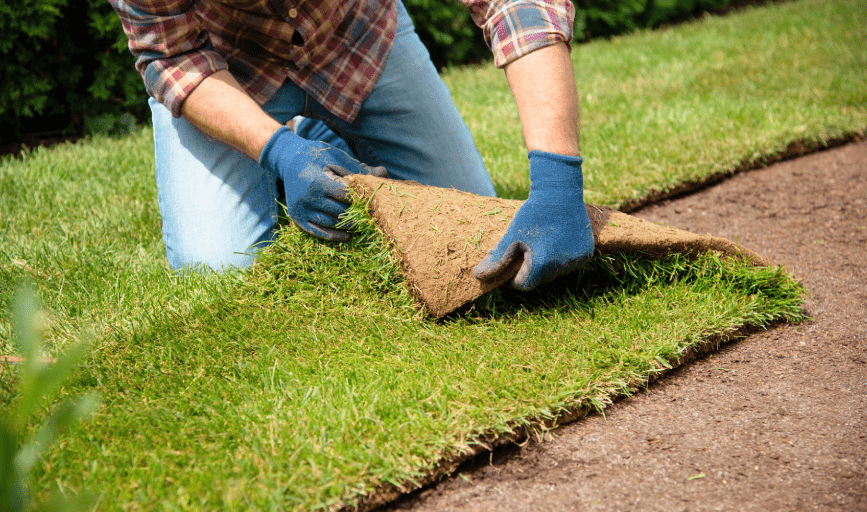 SOD INSTALLATION