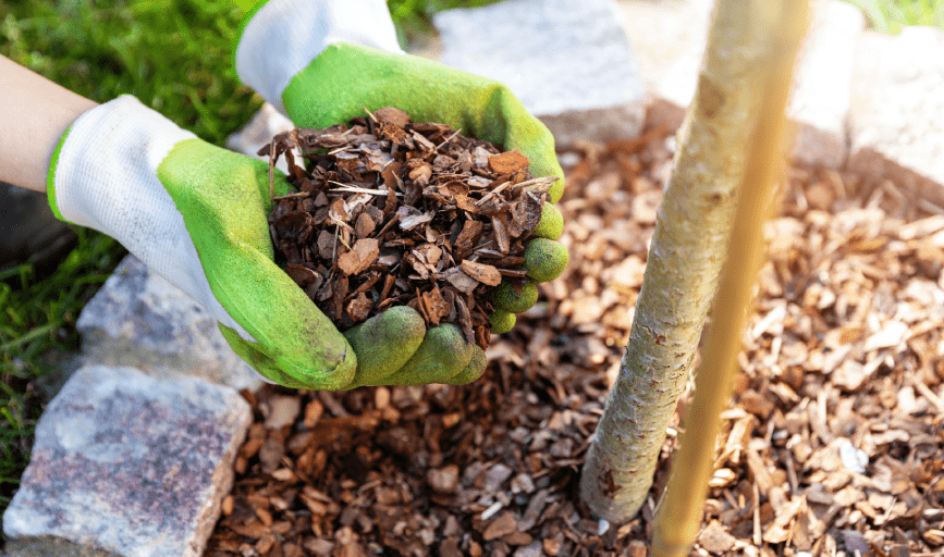 MULCHING