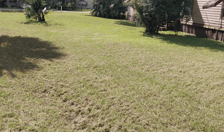 LAWN MOWING